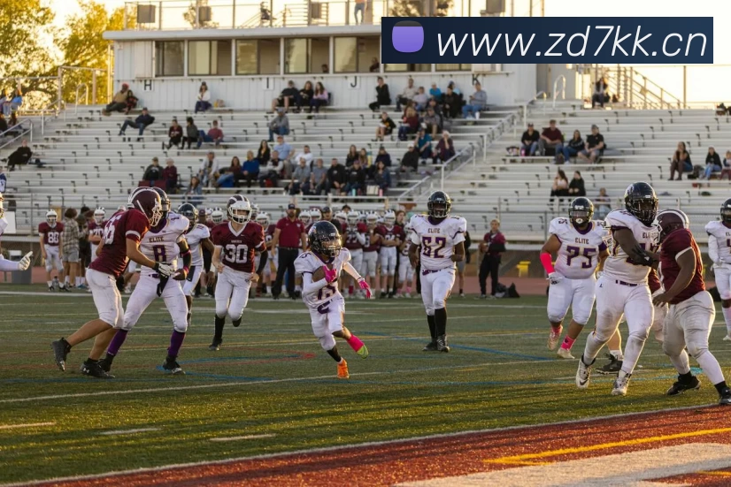 开云体育·(中国)APP全站下载发展历程